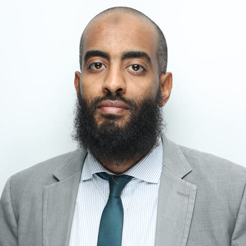 Ezzuldin Omer Mohamed