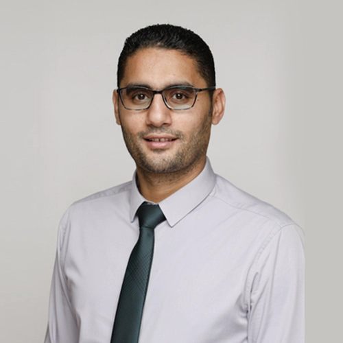 Mohsen Elshprawy Husein